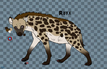 Rayx -Hyenasona-