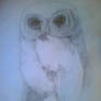 owl