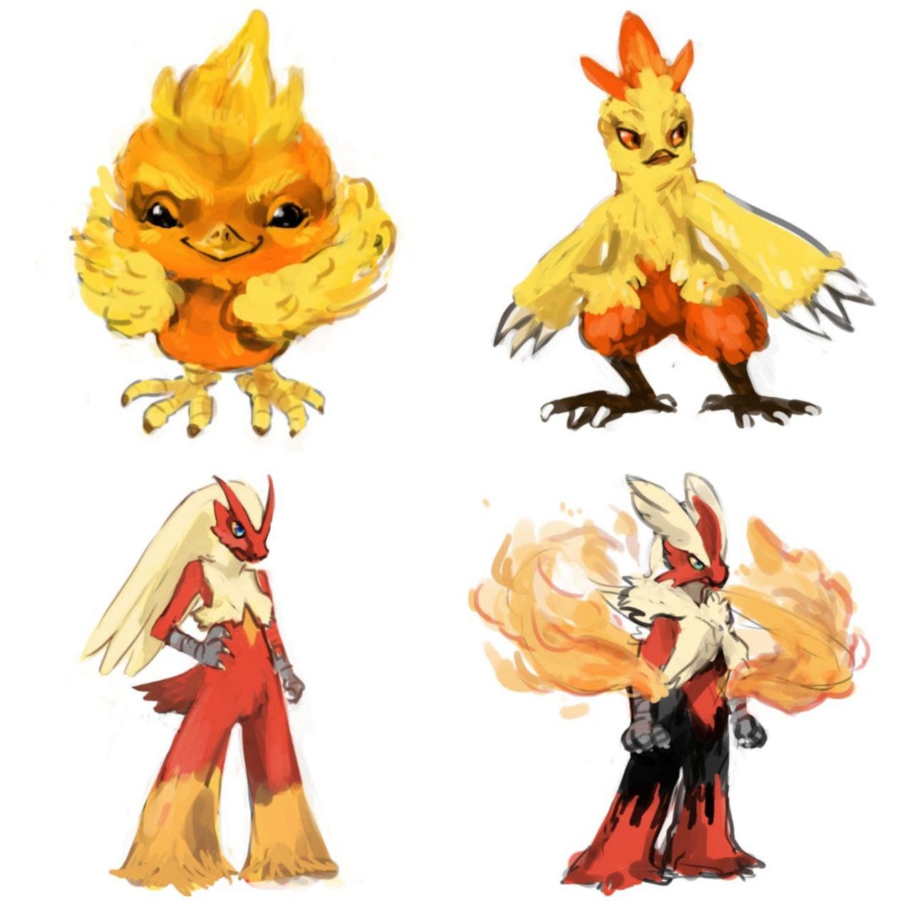 Tourchic Torchic Evolutions