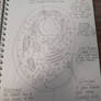 Plant Cell drawing