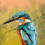 Kingfisher Colour Study