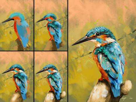 Kingfisher Colour Study-Process