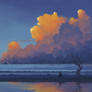 Late Afternoon