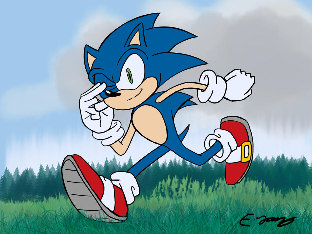 Sonic the Hedgehog's 24th Birthday