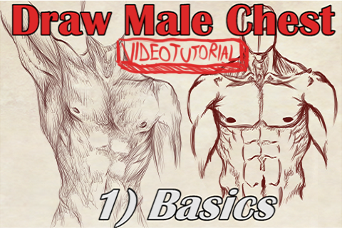 VideoTutorial on Drawing the Male Chest Front View