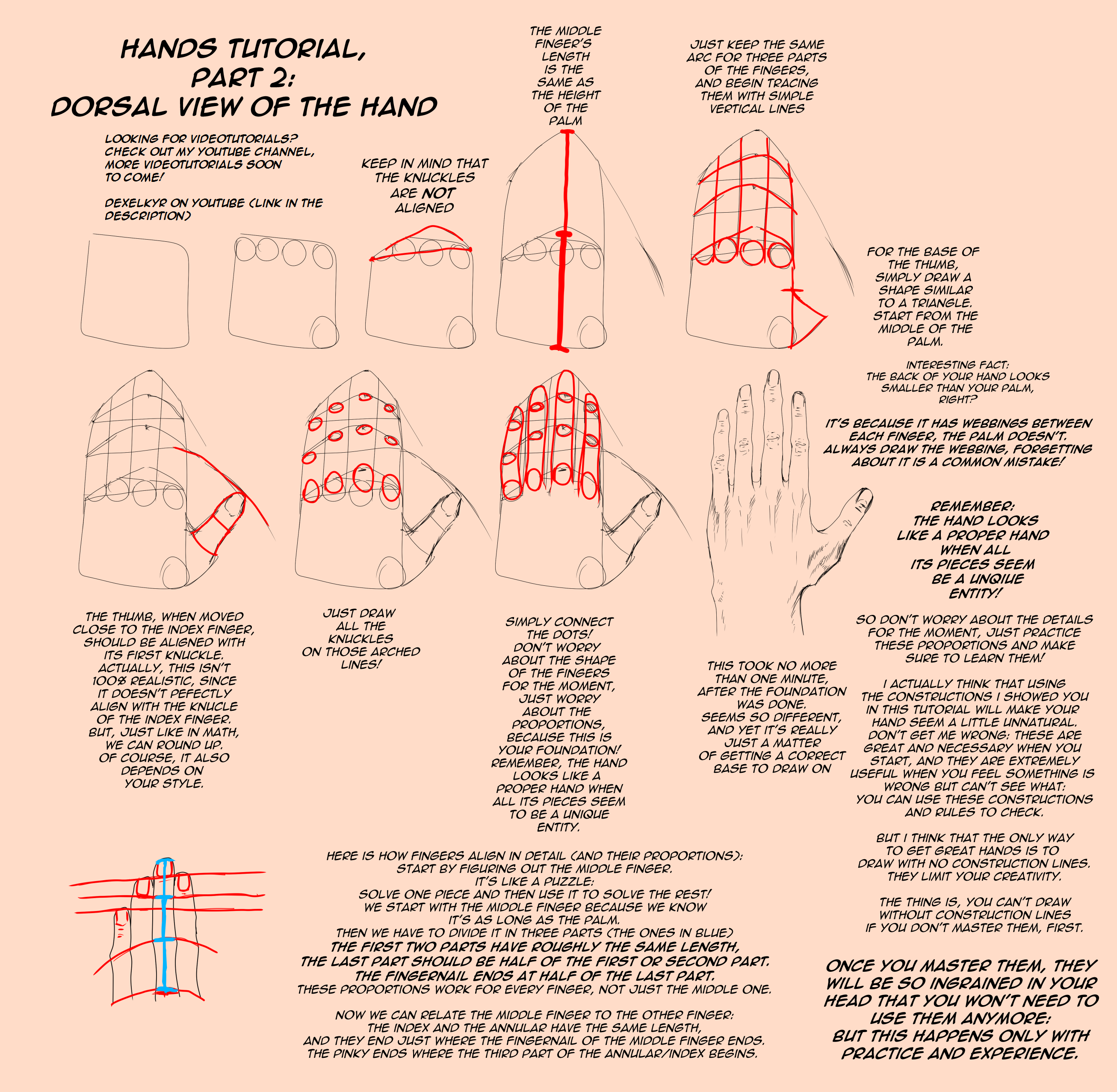 HANDS TUTORIAL, Dorsal View [Part 2]