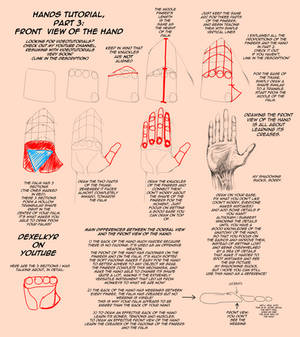 HANDS TUTORIAL, Front View [Part 3]