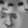 Realism Digital Painting number 2: Noses