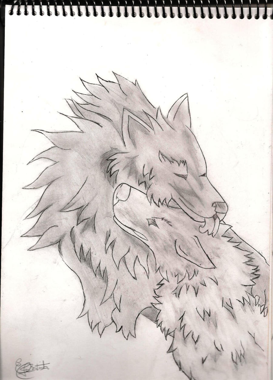 A Animal Couple Wolfs