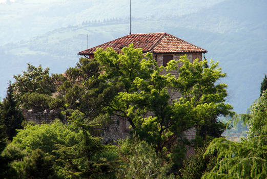 Bassano Castle