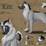 Kiri Charactersheet