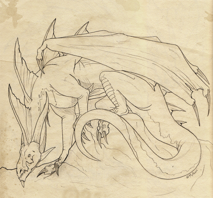 Dragonsketch002