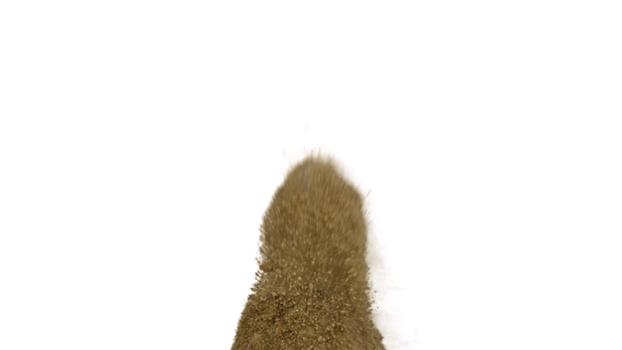 Sand blow PNG