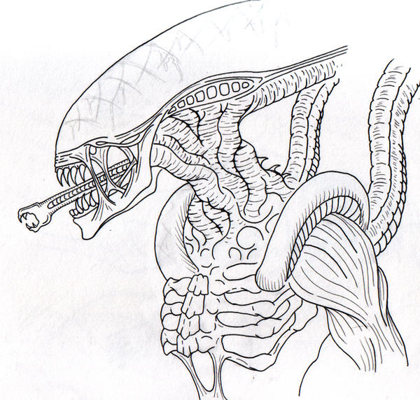 Grid alien cleaned up lines by Nathaldron on DeviantArt