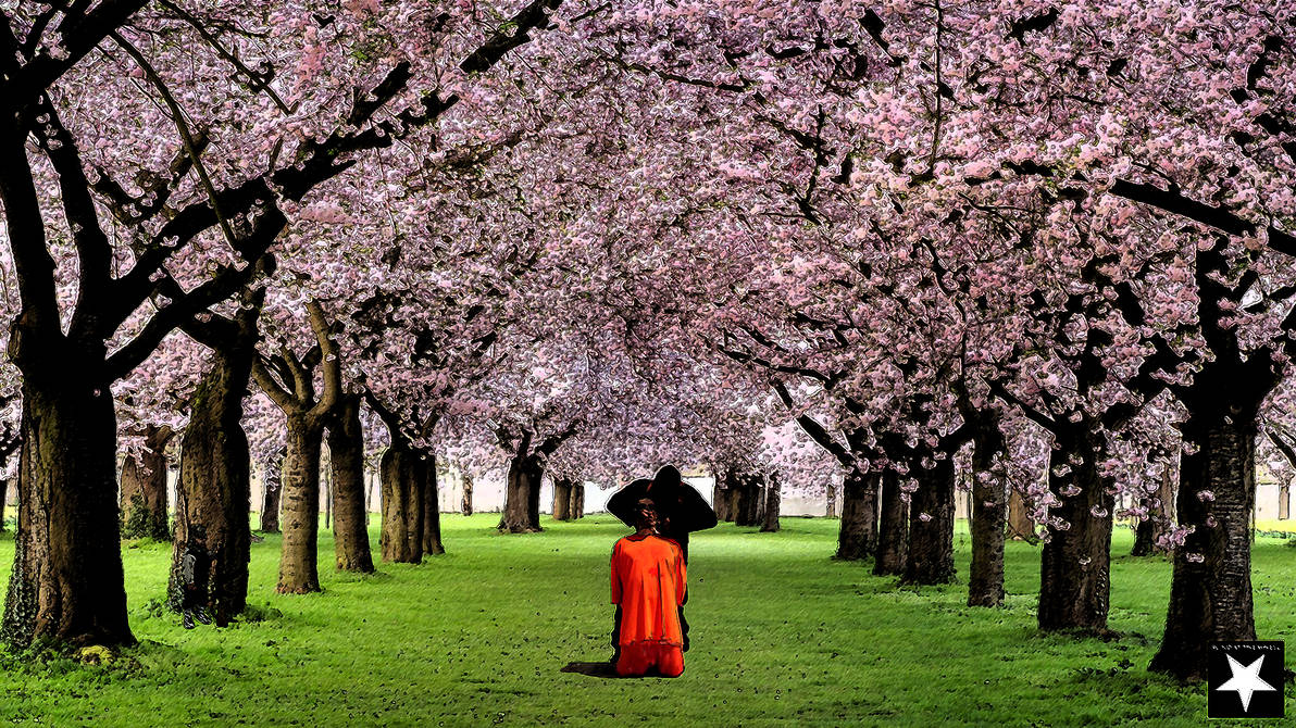 Middle Eastern Spring Arab Spring - 2 by blindatthewheel on DeviantArt