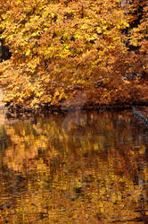 Autumn water