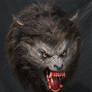 American Werewolf