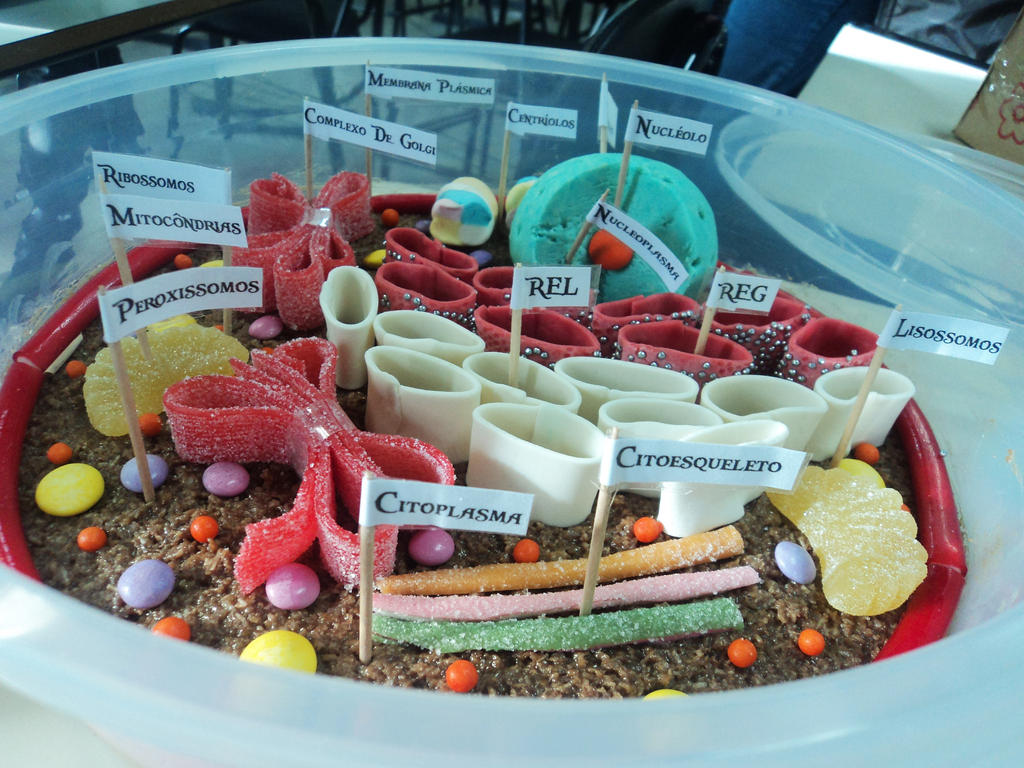 Candy Cell Model eukaryote cell with candy by Naiiane on DeviantArt