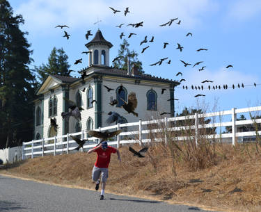My trip to Bodega Bay...
