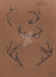 Antlers