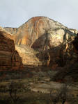 Surprize Stock: Zion Canyon by AdorkaStock
