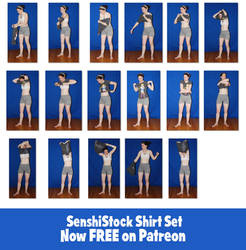 SenshiStock Shirt Set - FREE on Patreon!