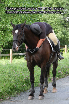 I LOVE YOU HORSE - August AdiPOSE