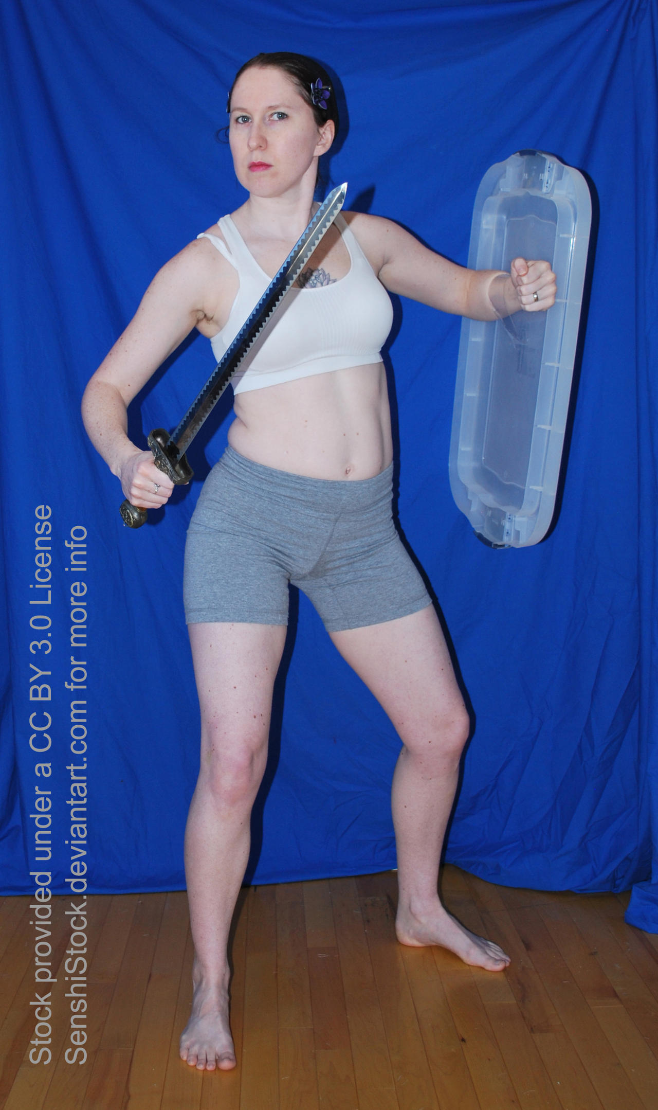 pics Female Sword Poses Drawing Reference alert sword shield pose reference by