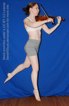 Viola Violin Pose Reference Action Floating Fly