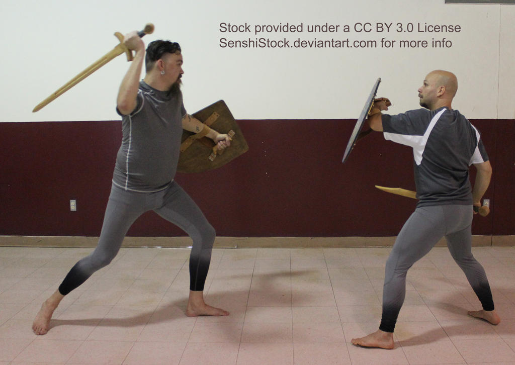 Sword Fight Pose Reference for Drawing by AdorkaStock on DeviantArt