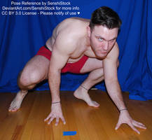 Dynamic Crawling Super Hero Male Pose Reference