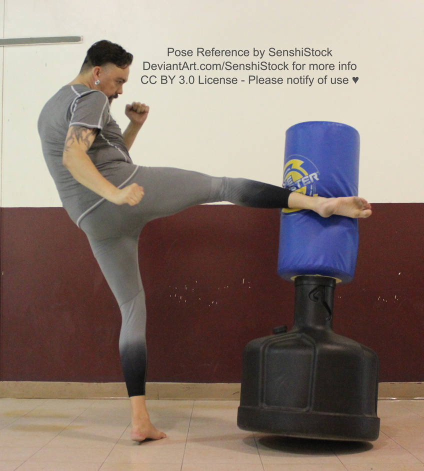 Kick Male Pose Reference Fighting by AdorkaStock on DeviantArt