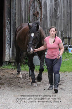 Walking with a Horse Together Friends