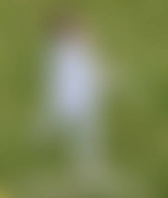 High Perspective Look Over Shoulder Katana