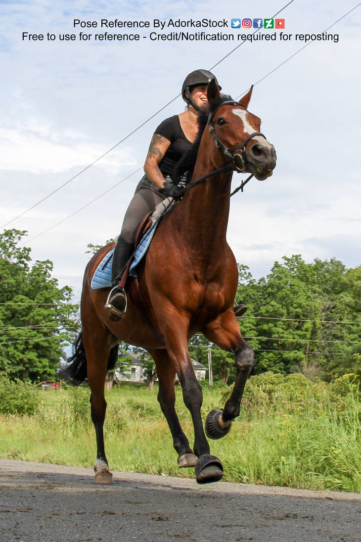 Horse Rider 3/4 Perspective Low Running by AdorkaStock on DeviantArt