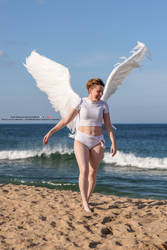 Winged Walking on the Beach Happy Pose Reference