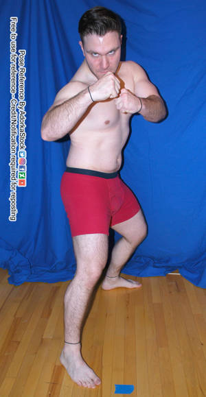 Strong Fighter Pose Reference Fists Harley Mask