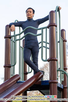 King Chaos Obvserving His Domain