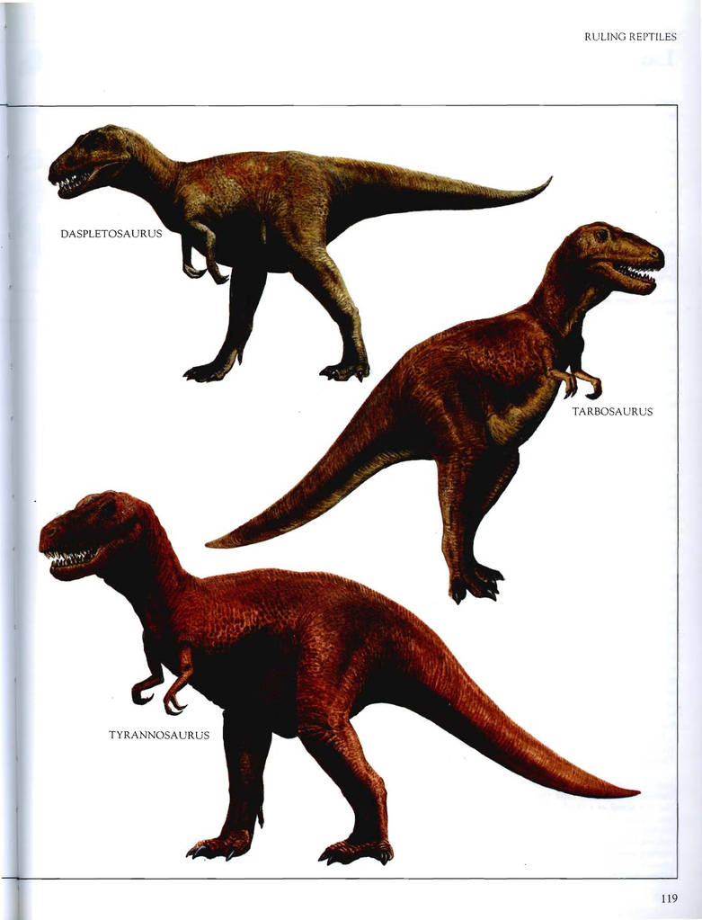 The Macmillan Illustrated Encyclopedia of Dinosaur by ...