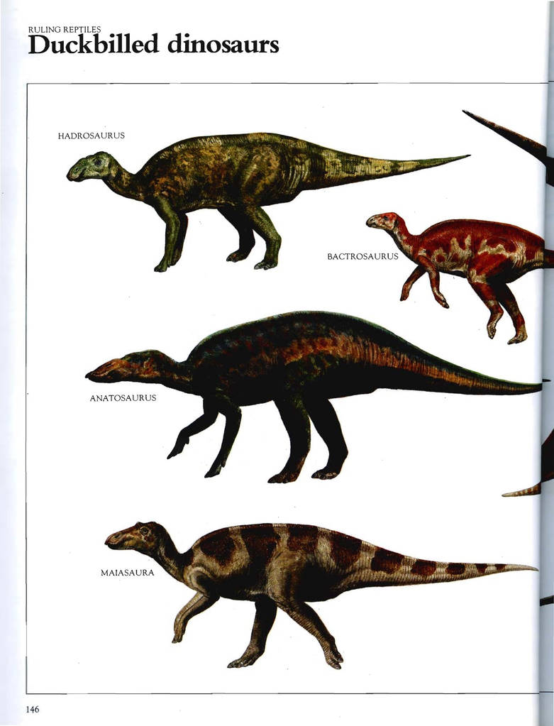 The Macmillan Illustrated Encyclopedia of Dinosaur by ...
