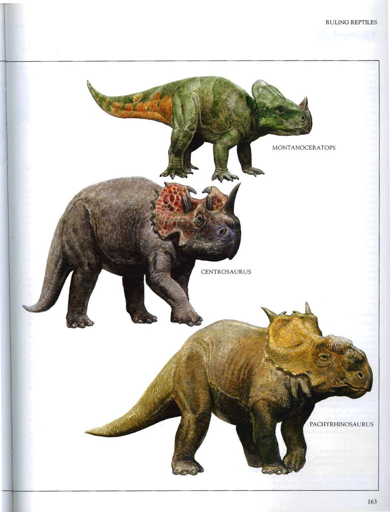 The Macmillan Illustrated Encyclopedia of Dinosaur by ...