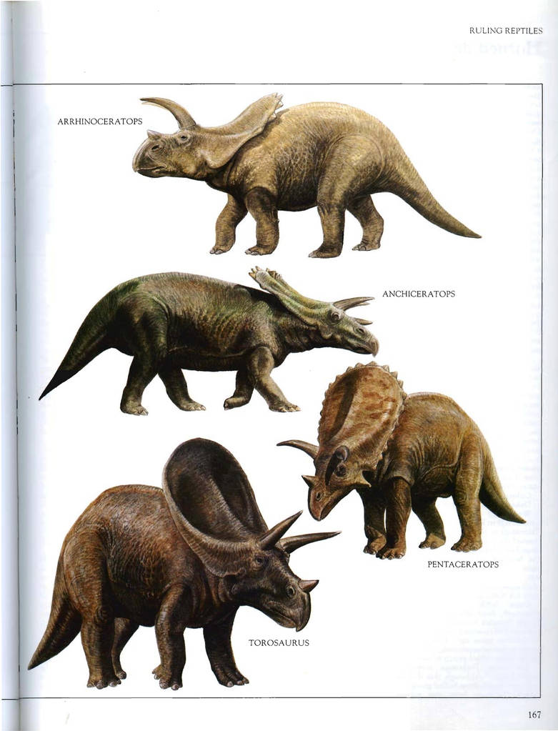 The Macmillan Illustrated Encyclopedia of Dinosaur by ...