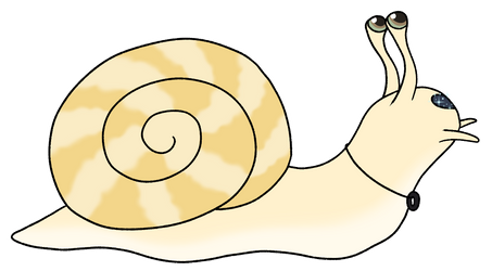 Snail Ciel (Sneil)