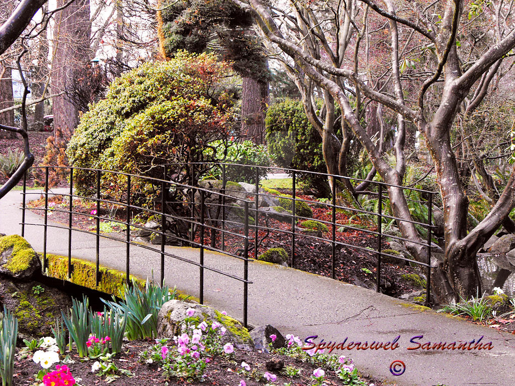 Seiders Spring spring by spydersweb51 on DeviantArt