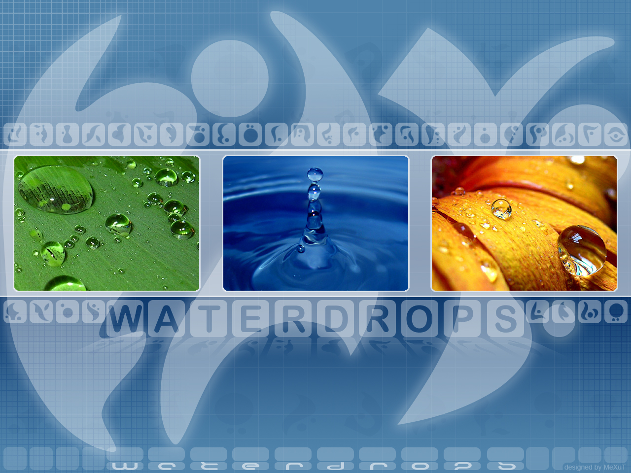 Waterdrops...