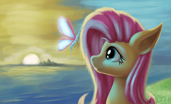 fluttershy day 2019