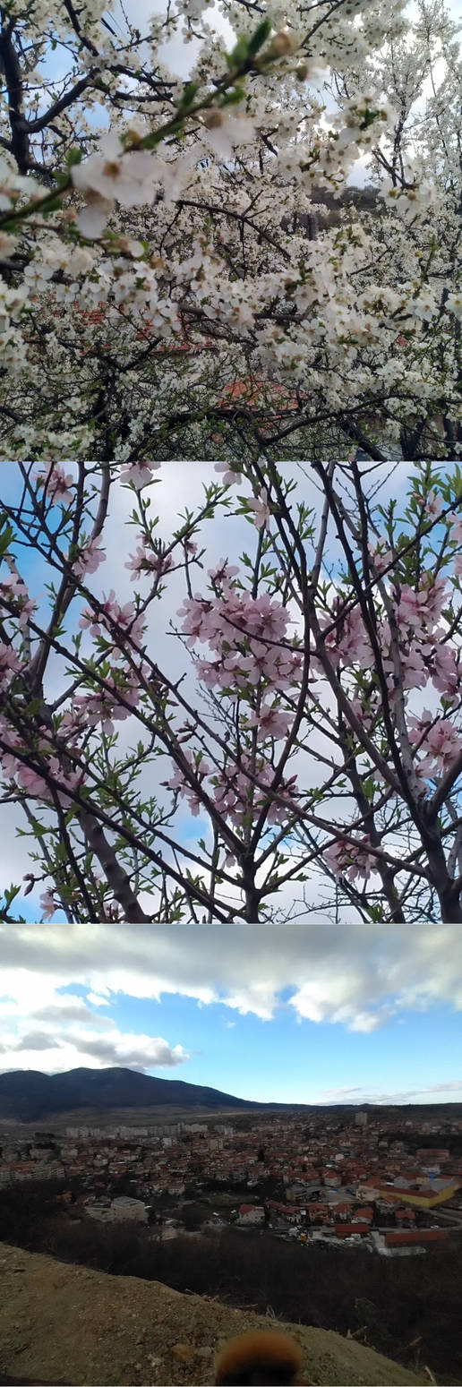 Dupnica In Spring :D by TheTubich on DeviantArt