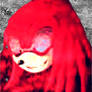 knuckles soul emerald inside chaos hunter sonic