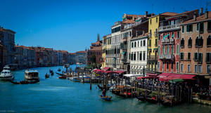 Playful Venice