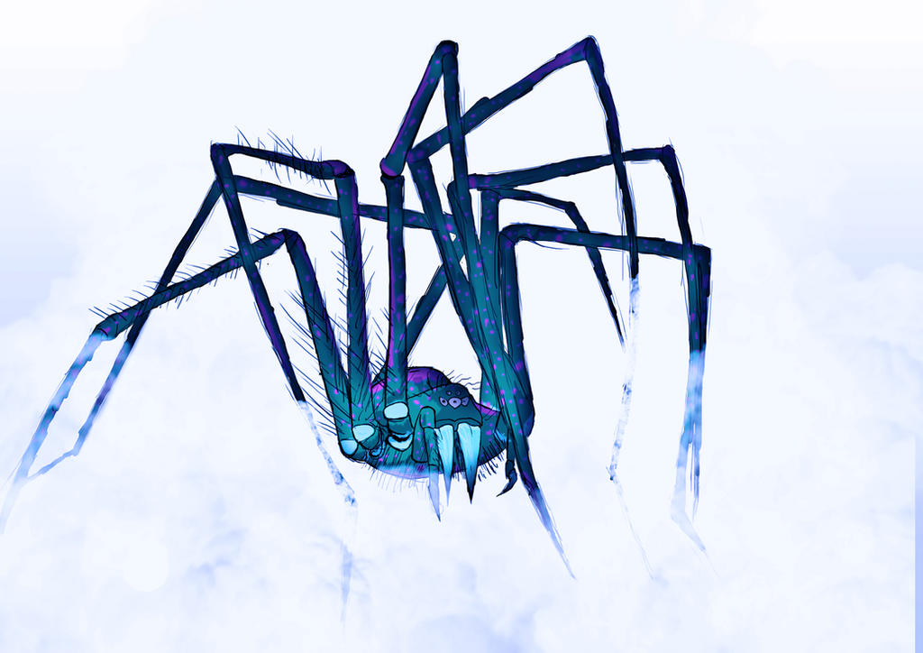 Spider Insect Deviantart Spider by Davidmeerhout on DeviantArt